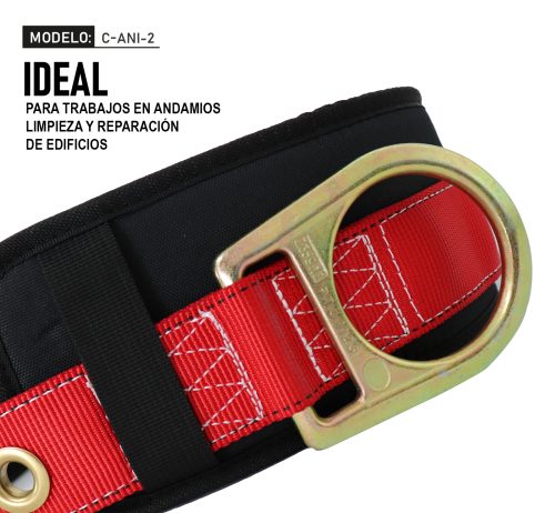 Cinto con respaldo y anillo "D" en costados. Mod. C-ANI-2 - Image 6