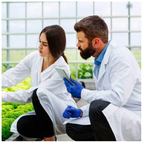100% cotton white coat. - Image 2